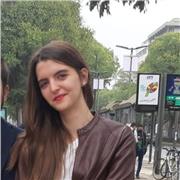 Laureanda in ingegneria aerospaziale offre lezioni di matematica e fisica
